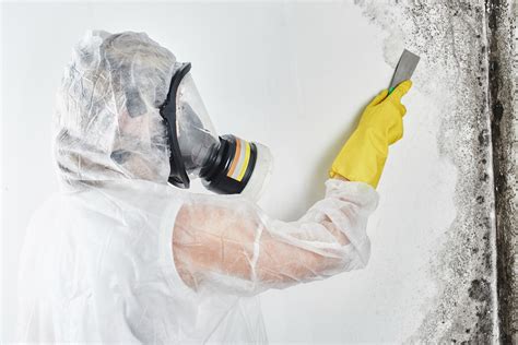 Mold Removal Leads 100 Exclusive Mold Remediation Leads