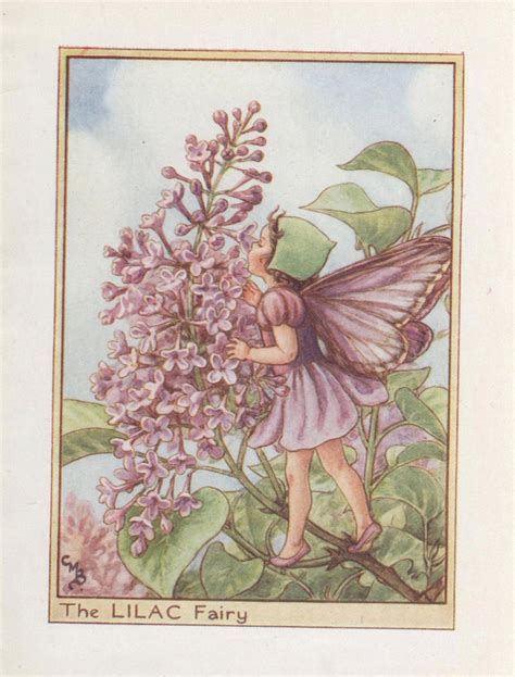 Flower Fairies The Lilac Fairy Vintage Print C1930 By Cicely Etsy
