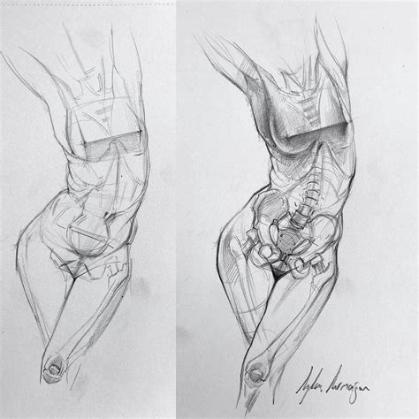 Anatom A De Mujer Exterior E Interior Boceto Anatom A Art Stica Arte