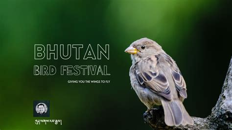 Bhutan Bird Festival In The Kingdoms Biodiversity Hotspot
