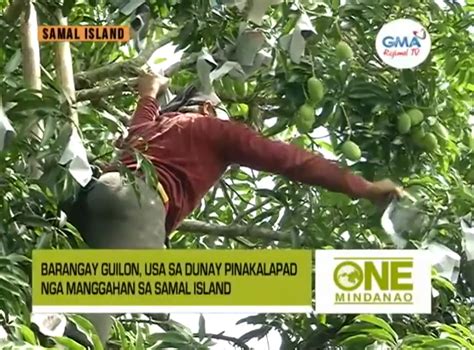 One Mindanao Balitang Barangay Guilon Samal One Mindanao Gma
