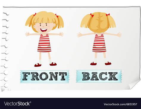 Opposite Adjectives Front And Back Royalty Free Vector Image