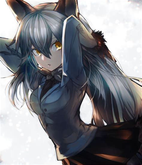 Silver Fox Anime Girl Wallpapers Wallpaper Cave