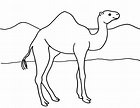 Camel Coloring Page - Art Starts