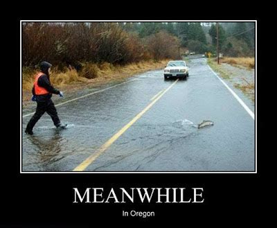 Motivational Poster Fun: Meanwhile in Oregon - Fish swimming across road