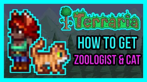 Terraria 14 How To Get Zoologist Npc Bestiary And Cat Guide Youtube