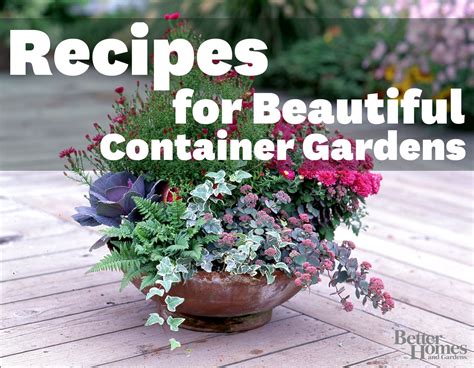 Recipes For Beautiful Container Gardens Plants