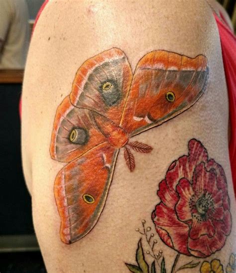 Just Got This Gorgeous Moth By Alison Woodward Love It Animal