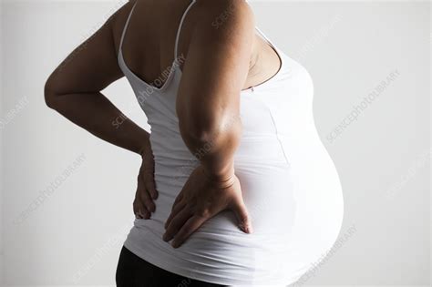 Pregnant Woman With Lower Back Pain Stock Image F0310139 Science