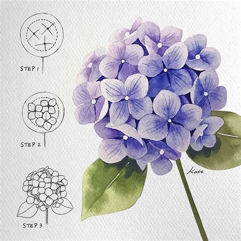 If Youre Interested In Painting Hydrangeas This Tutorial Breaks Down