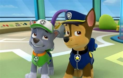 Chase Paw Patrol Rocky Images And Photos Finder