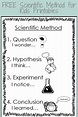 FREE Scientific Method Chart for Kids | Teaching scientific method ...
