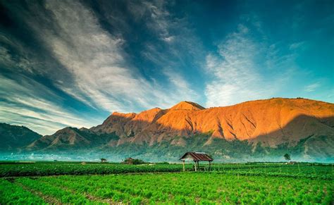 Accommodation In Sembalun Lawang Under Foot Of Mount Rinjani National