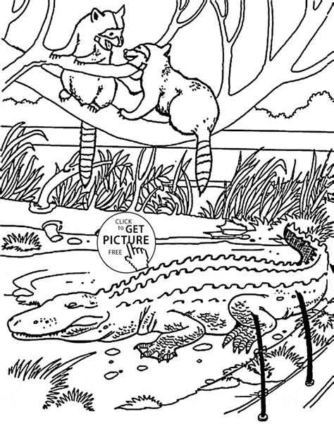 Zoo Alligator Coloring Page For Kids Animal Coloring