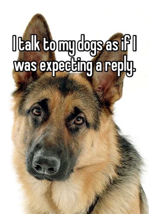 I Talk To My Dogs As If I Was Expecting A Reply Shepherd Dog Dogs