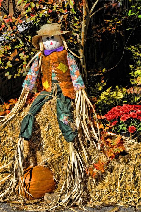 Fall Scarecrow Photograph By Kenny Francis