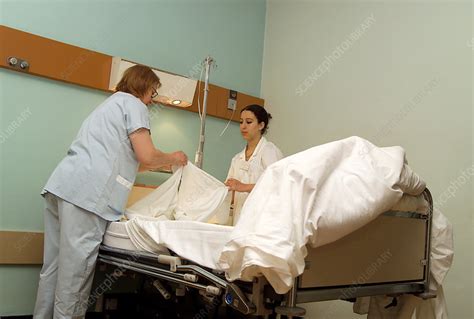 Nurses Changing Bedlinen Stock Image M5400414 Science Photo Library