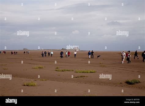 A Guided Walk From Walney Island To Piel Island Across The Sands Stock