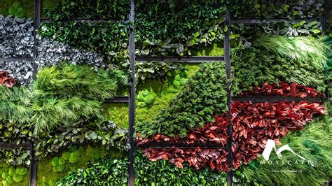 Indoor Vertical Garden In Singapore How To Set Up And Maintain