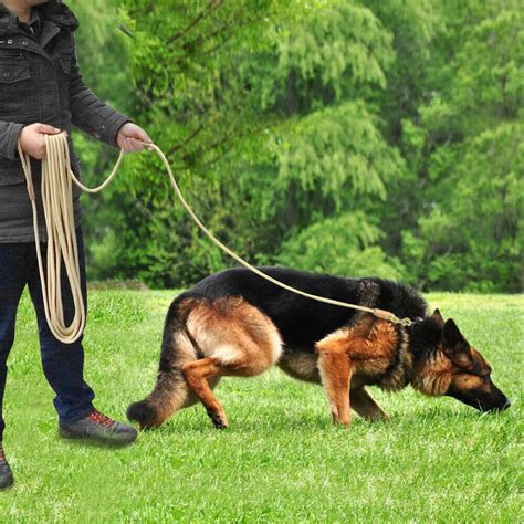 51020m Long Dog Training Lead Long Line Tracking Leash Strong Lunge
