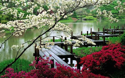 Arrange your flowers in a picture frame and simply hang in on your wall. Japanese gardens - Sök på Google | We Heart It | nature ...