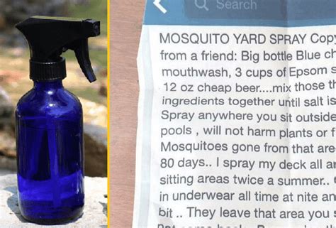 Recipe For Mosquito Spray With Blue Mouthwash Mosquito Yard Spray