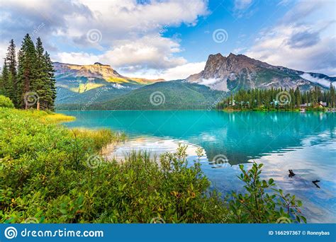 Beautiful Reflection At Emerald Lake In Yoho National Park British