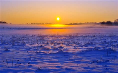 Winter Snow Fog Horizon Sky Dawn Sunrise Wallpapers Nature And Landscape Hd Desktop