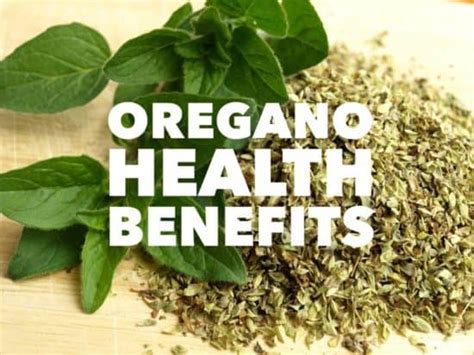 Health Benefits Of Oregano Gardening Channel