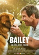 Bailey - Ein Hund kehrt zurück - Film 2019 - FILMSTARTS.de