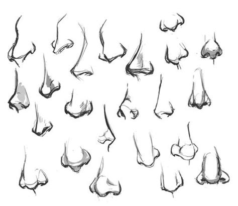 Nose Drawing Anatomy Drawing Drawings