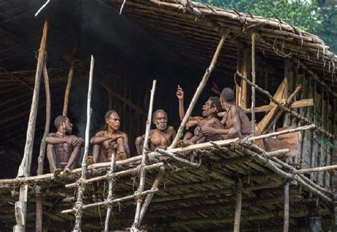 10 Fakta Suku Korowai Kanibal Pemakan Manusia Di Indonesia Dan Papua Nugini Keberadaanya