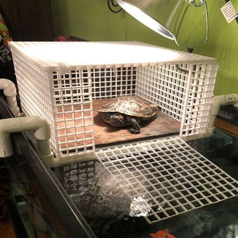 Above Tank Turtle Basking Platform Diy Sliders First Visit To Acrylic