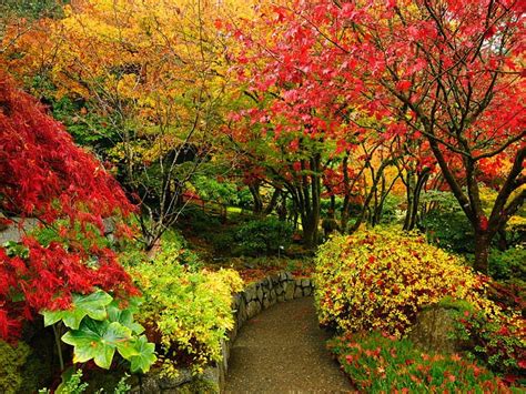 Autumn Park Forest Colorful Fall Autumn Lovely Falling Bonito