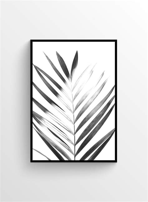 Sunlight Palm Leaf Black And White Photography Print Opposite Wall