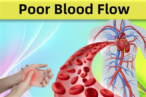 10 Signs Of Poor Blood Circulation Show That You Have