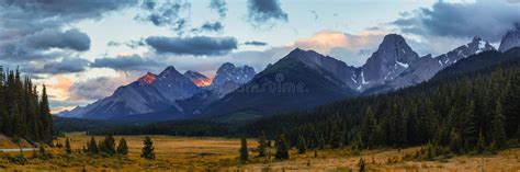 Mountain Meadow In The Canadian Rocky Mountains In Kananaskis Stock
