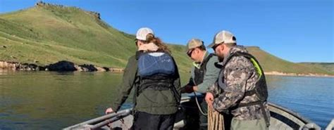 Great Kokanee Fishing Predicted At Ririe Reservoir Idaho Fish And Game