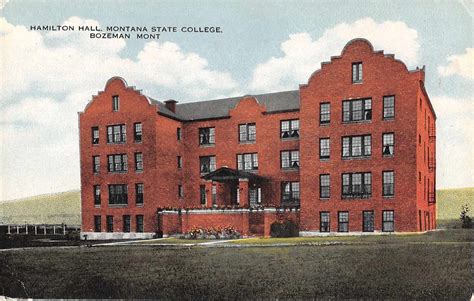 Hamilton Hall Montana State College Bozeman Mont Antique Postcard