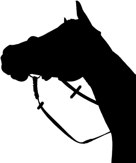 Free Arabian Horse Head Silhouette Download Free Arabian Horse Head