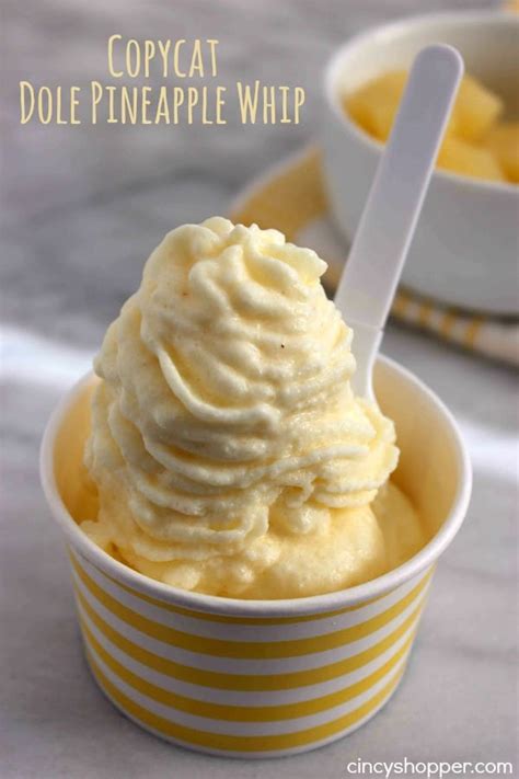 If you have been to the walt disney world resort's magic kingdom, you have no doubt seen a curious queue of people as you cross the bridge to adventureland. Copycat Dole Pineapple Whip - CincyShopper
