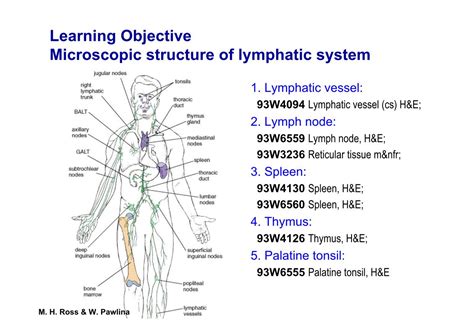 Block2learning Objective