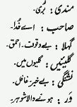 Complete Punjabi Poetry Of Shah Hussain