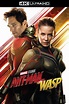 Ant-Man and the Wasp (2018) - Posters — The Movie Database (TMDb)