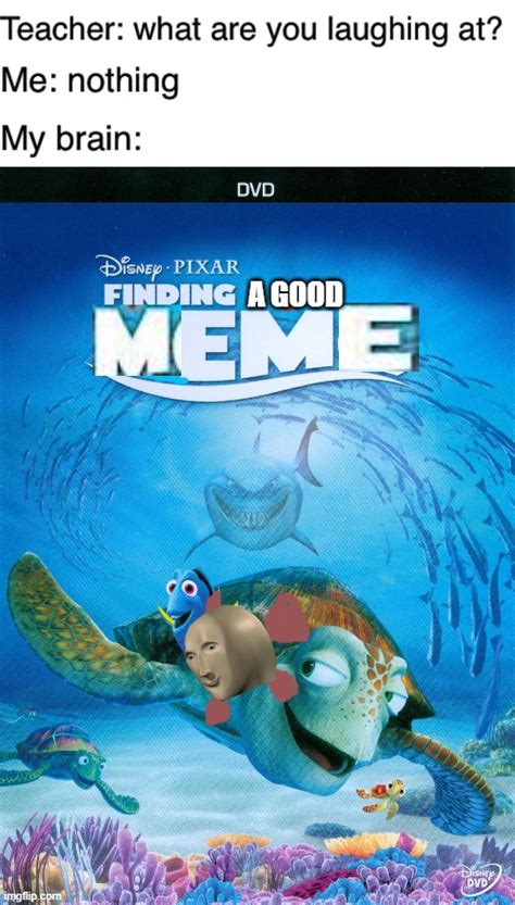 Finding A Good Meme Imgflip