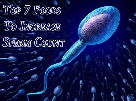 top 7 foods to increase sperm count