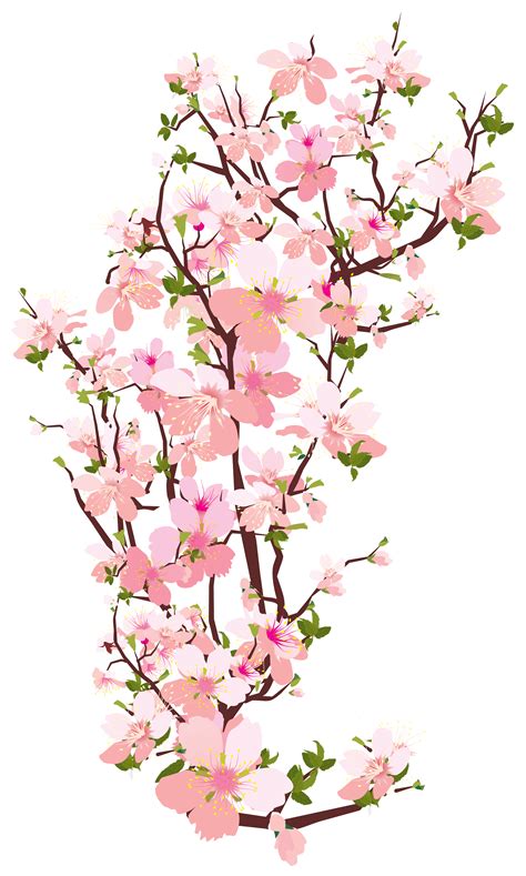 Spring Pink Clipart 27 Free Cliparts Download Images On Clipground 2024