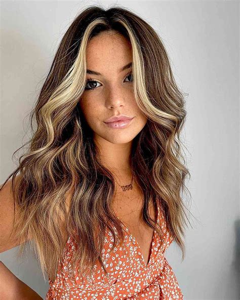 19 Perfect Examples Of Lowlights For Brown Hair 2023 Looks 2024