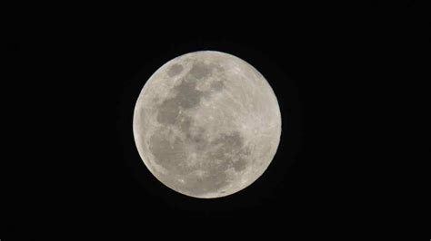 Influencia de la luminosidad lunar en las plantas y los animales…. La súper Luna que se verá el martes será más grande y ...