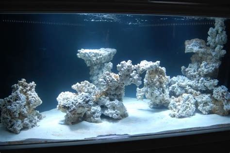 Very few books talk about the subject at all, and what information is published is based around the 'nature aquarium' theme popularised by japanese aquarist takashi amano. Aquascaping, Show your Skills... - Page 6 | Saltwater fish ...